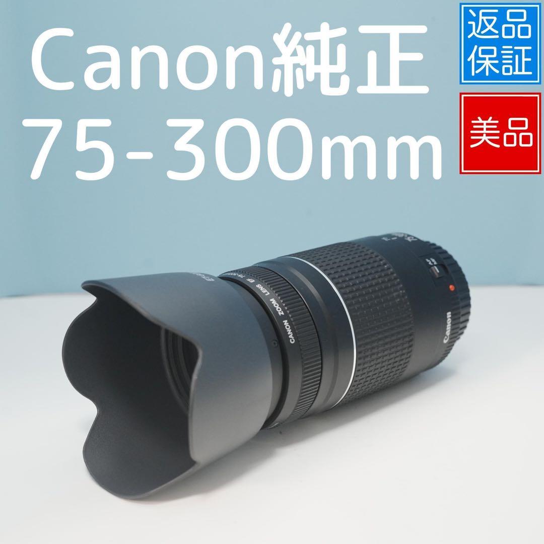 Canon純正 75-300mm 望遠レンズ 美品 a5037