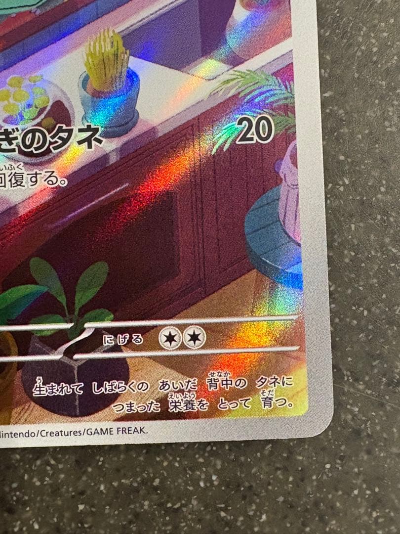 フシギダネ ヒトカゲ ゼニガメ スペシャルデッキセット プロモ 3枚セット