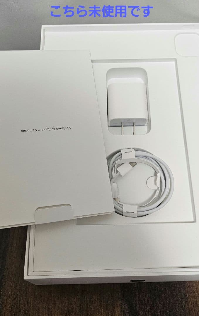 11インチ iPad Pro 第2世代 256GB Wi-Fi+Cellular