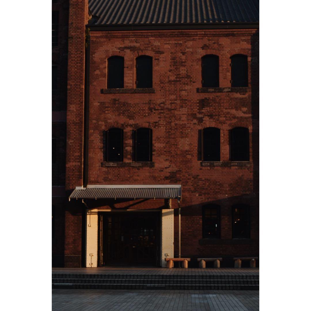 nikon ニコン D5600 一眼レフ カメラ ボディ レンズ3本セット