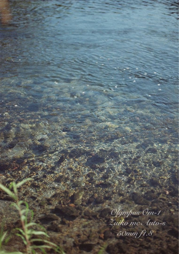 ★超美品！完動品★OLYMPUS OM-1（ブラック）作例多数★初期保証付き！