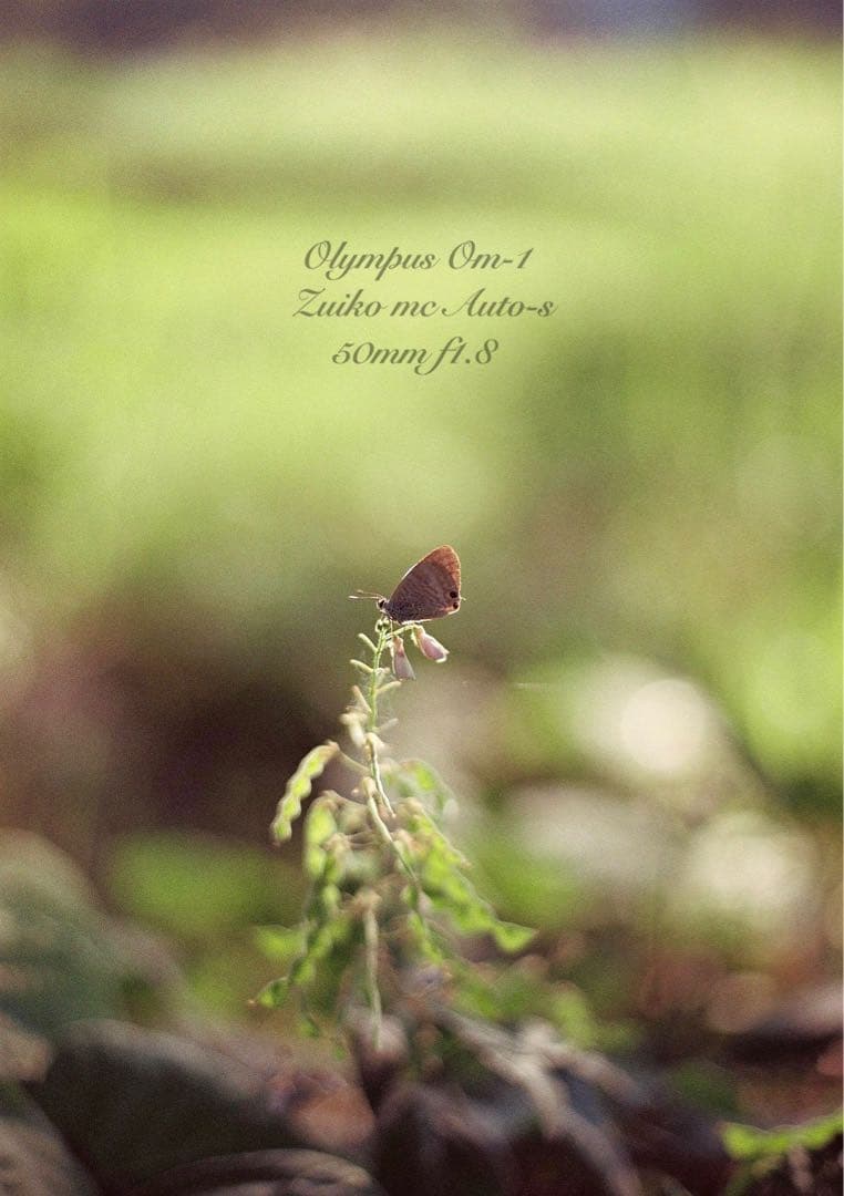 ★超美品！完動品★OLYMPUS OM-1（ブラック）作例多数★初期保証付き！