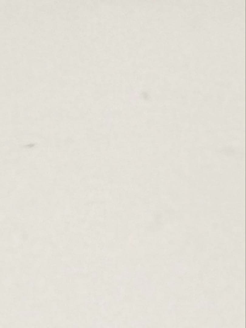 mnmnさま　トートバッグ　専用ページ