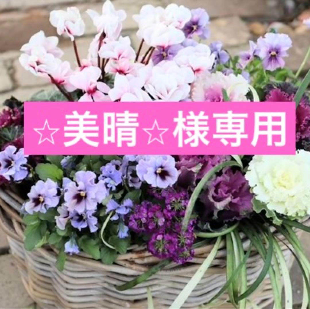 ♡⭐︎美晴⭐︎♡