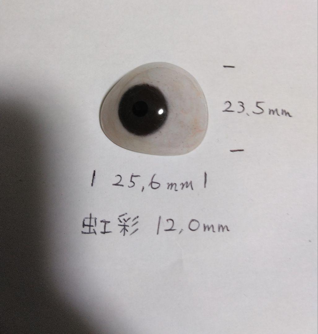 国産　義眼　アツザワプロテーゼ製