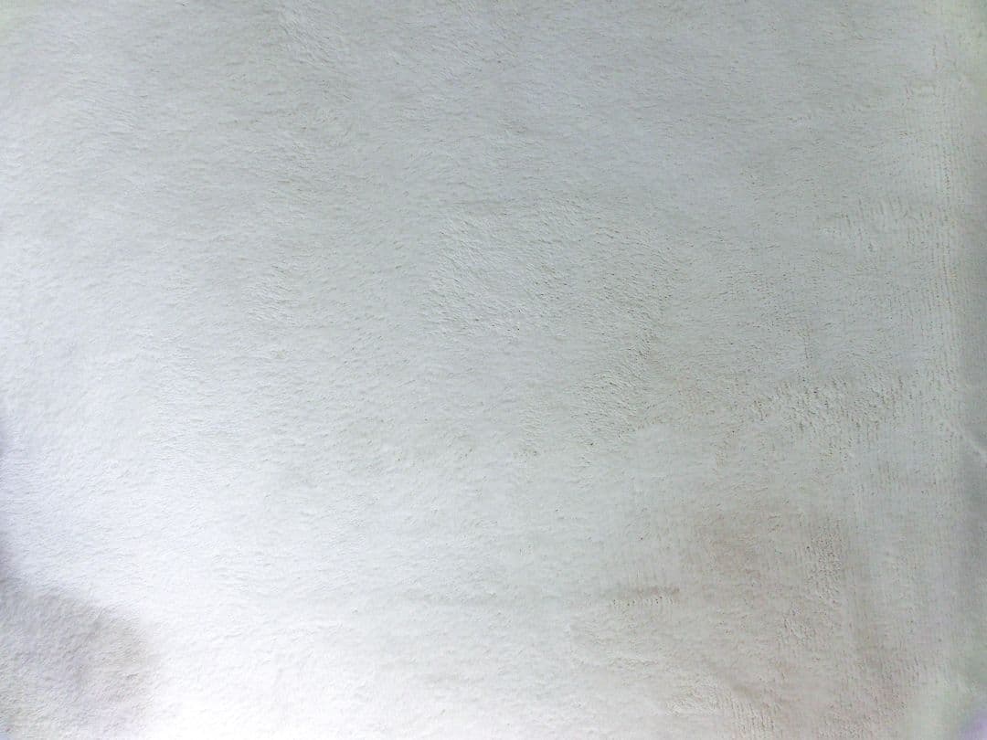 完動美品 試写有り CASIO EXILIM HS EX-ZR100