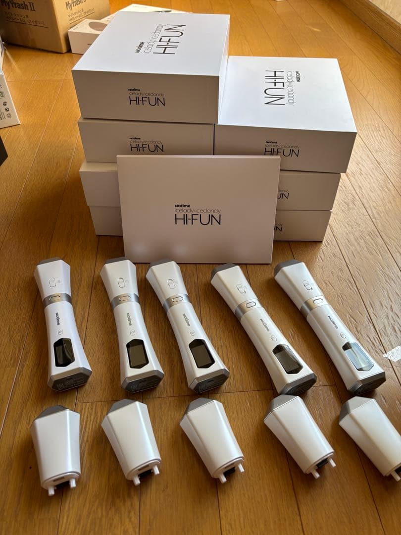 ina　アイスレディ12個セット