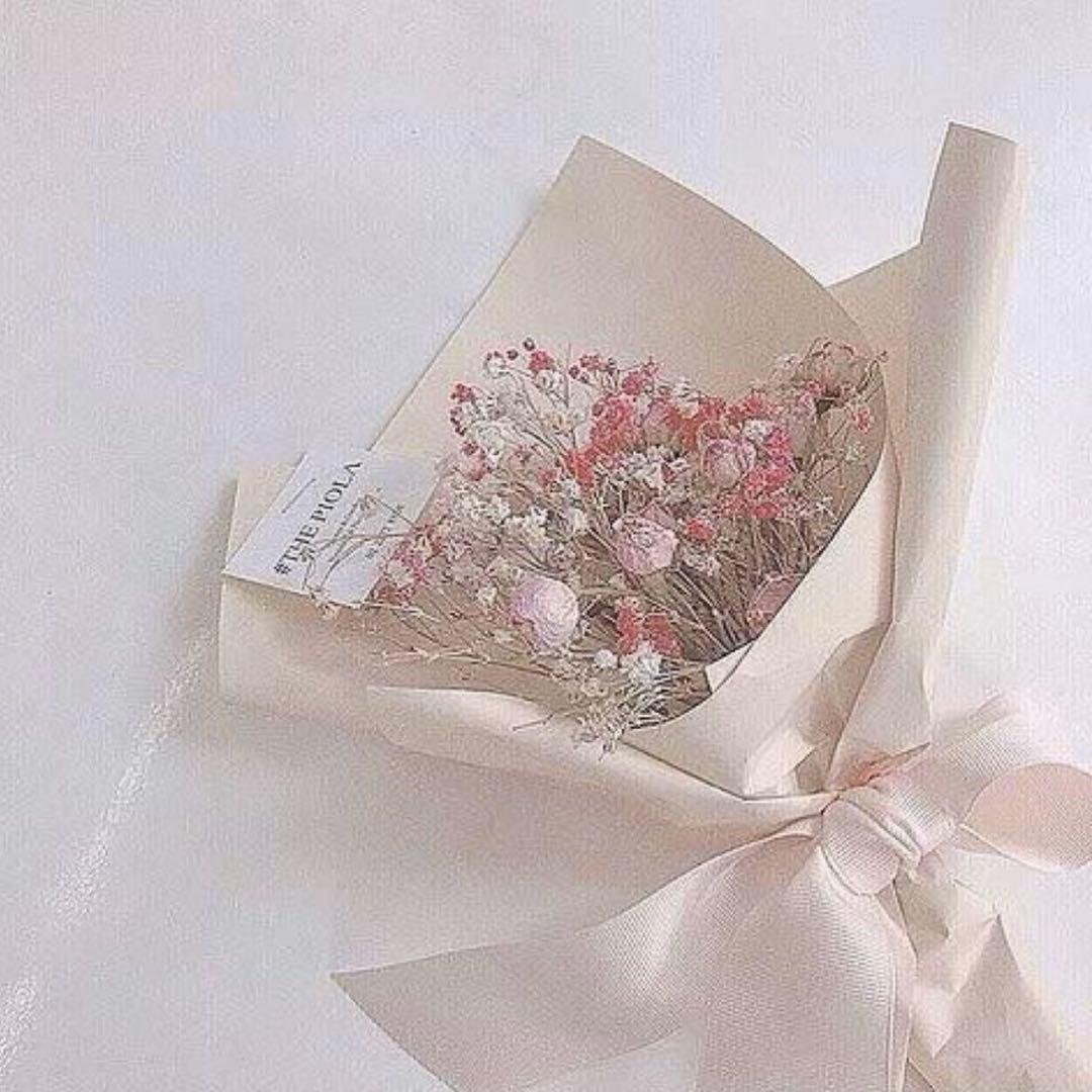 ほたて様 H.ccオークル/ヤマト便