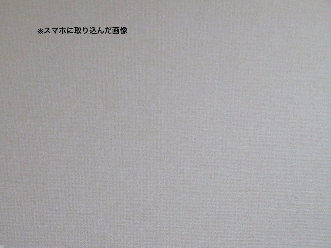 Canon PowerShot SX730HS シルバー デジカメ 40倍ズーム