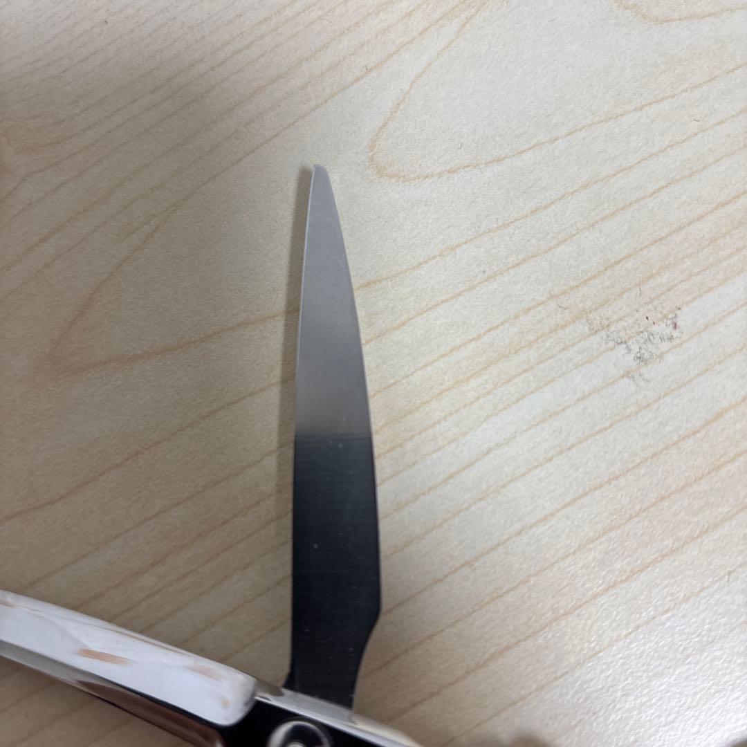 雅ステンレス カーブ刃シザー 約6インチ