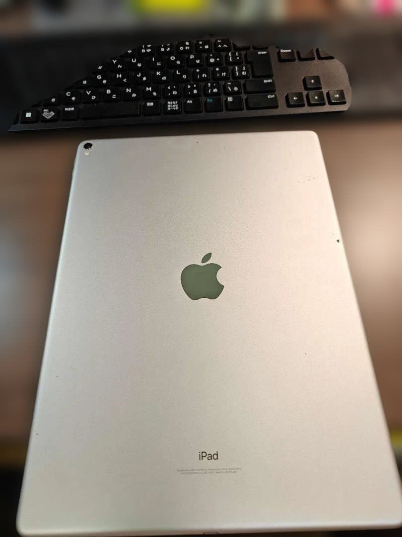 美*雪様 ジャンク品　Apple iPad 12.9インチ シルバー