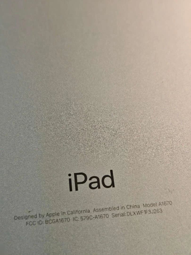 美*雪様 ジャンク品　Apple iPad 12.9インチ シルバー