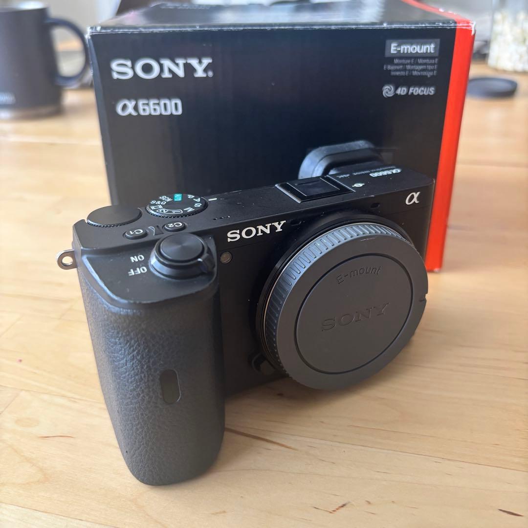 ショット数1470）SONY α6600ボディ/ILCE6600ケージ、ムック付