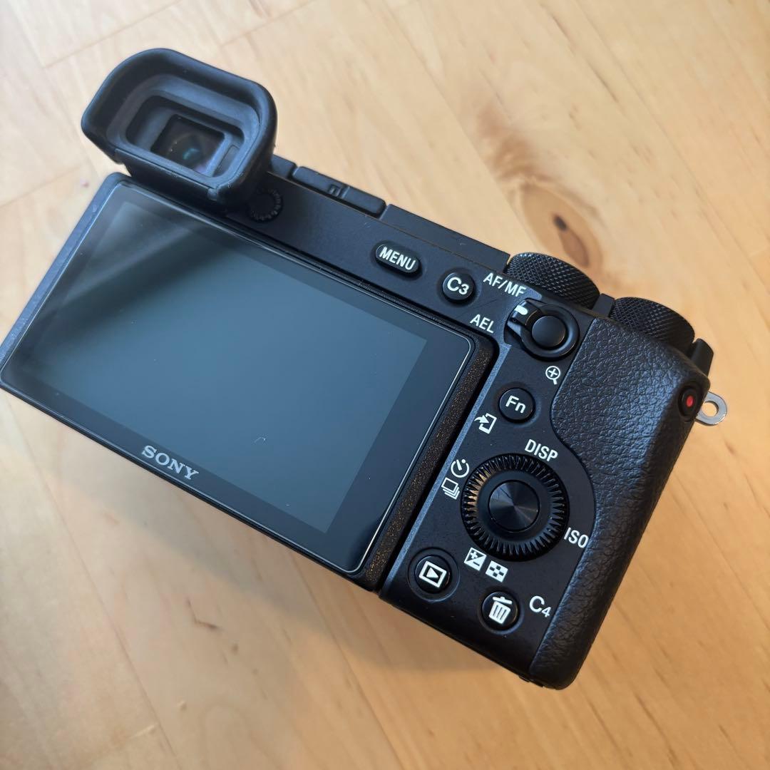 ショット数1470）SONY α6600ボディ/ILCE6600ケージ、ムック付