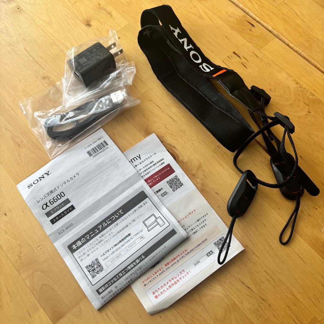 ショット数1470）SONY α6600ボディ/ILCE6600ケージ、ムック付