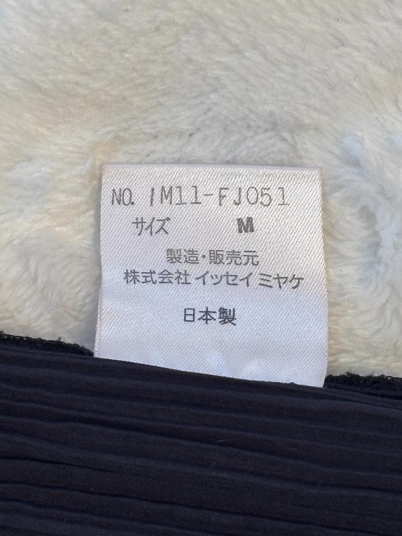 [超希少] ISSEY MIYAKE 平面 二次元 変形 ボーダー入りプリーツ