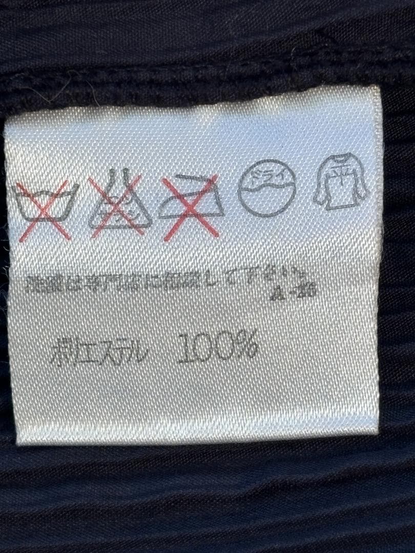 [超希少] ISSEY MIYAKE 平面 二次元 変形 ボーダー入りプリーツ