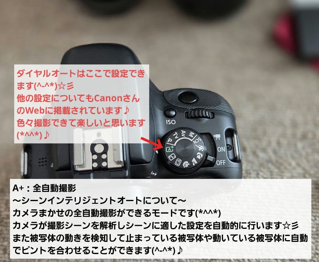 【良品・ほぼ未使用含む】Canon EOS kiss X7ダブルレンズセット 他
