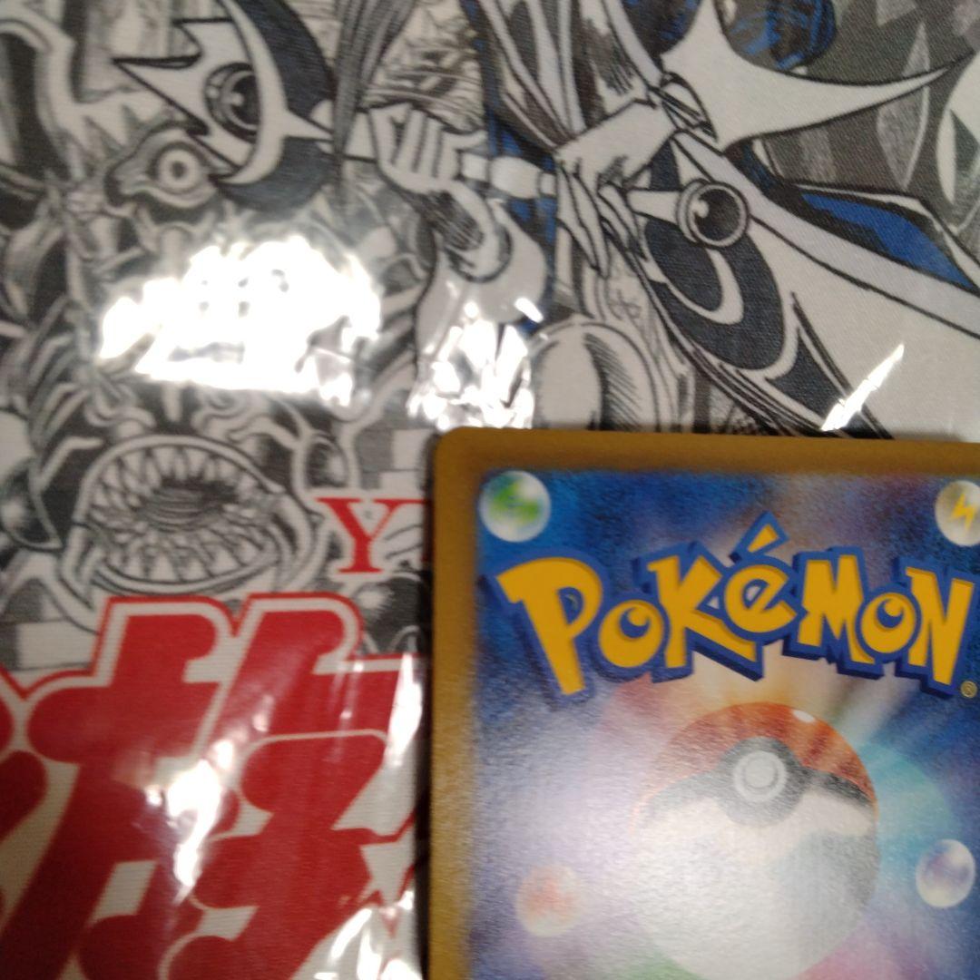 エラーカード　レリーフズレ　魂抜け　ヒスイバクフーン