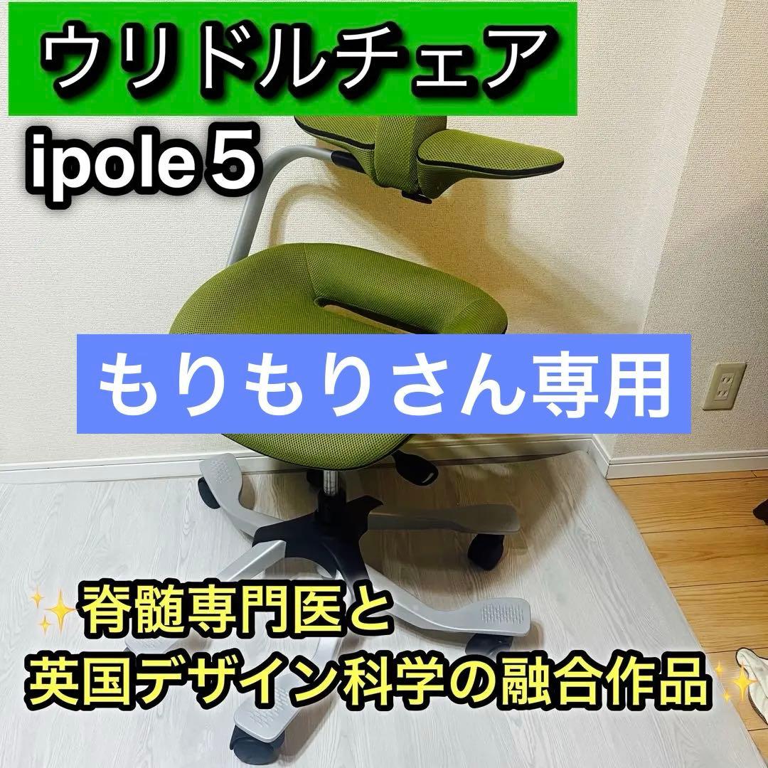 ipole5 　姿勢矯正　ウリドルチェア　アイポール