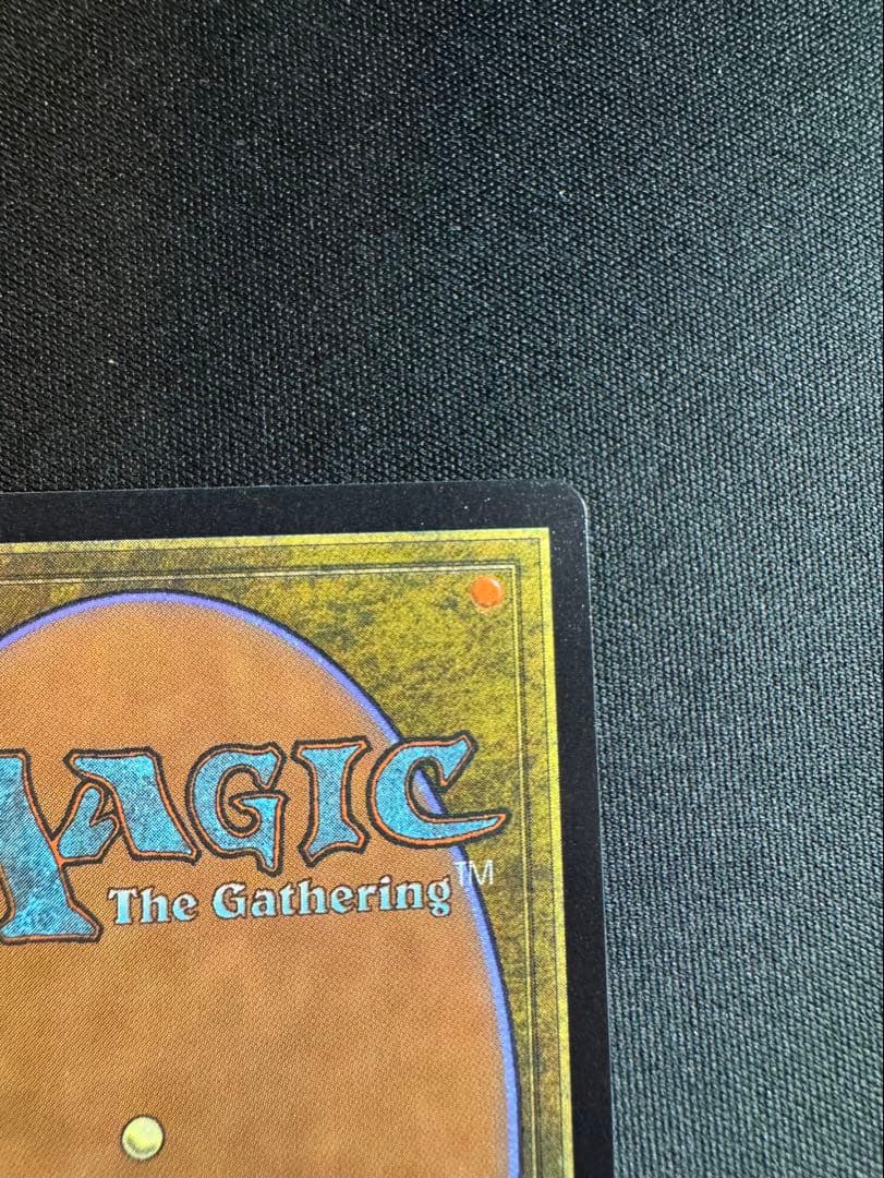 m*n様 タタル・タル　R 0466