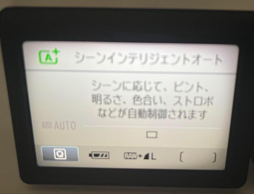 ダブルレンズ❤️Canon kiss X5❤️初心者おすすめ❤️一眼レフカメラ