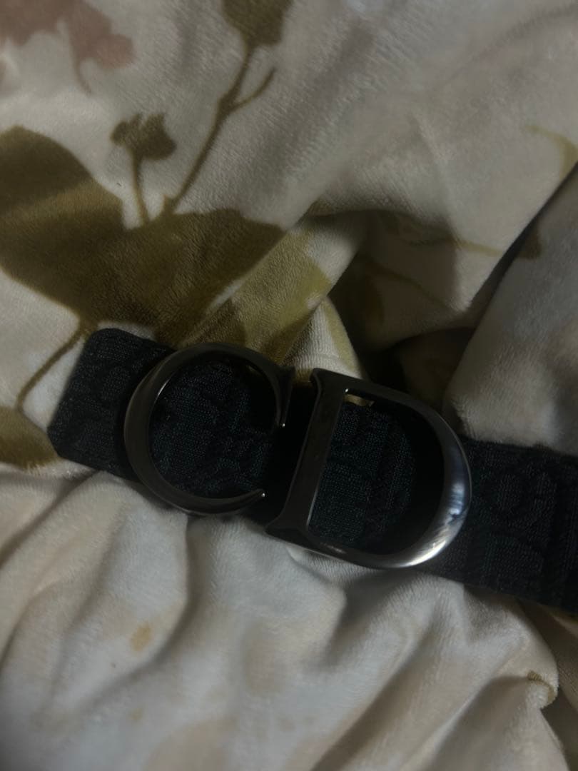 Dior CD ベルト