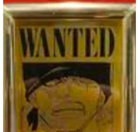 金銀財宝さん ONEPIECE 純金製 ルフィ ゾロ 手配書 ワンピース　カード