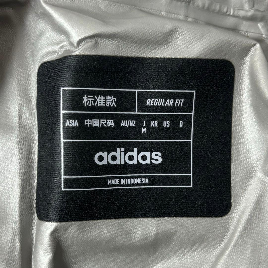 アディダス テレックス エクスペリオール GTX パックライト ジャケット M