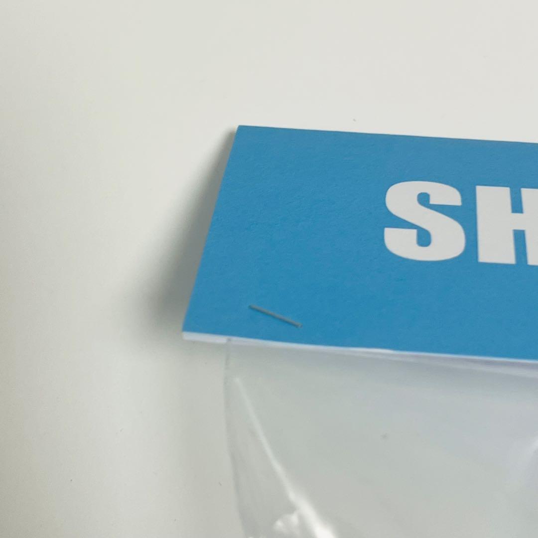 Momoco Studio × 墓場の画廊　SHARK BOY　シャークボーイ