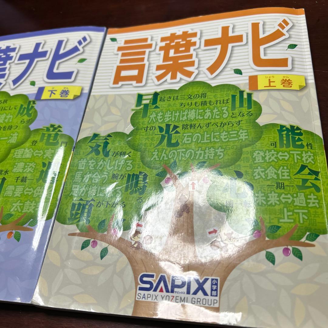 22-20か　重要教材　サピックス　SAPIX 言葉ナビ 上巻・下巻　未記入❣️