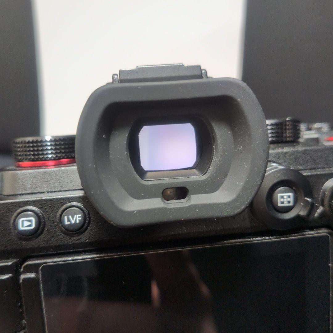 LUMIX S5 ミラーレス一眼カメラ　ワーリー