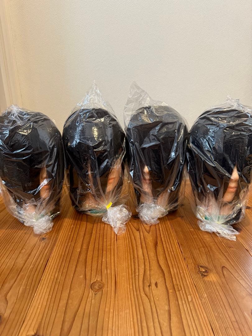 国家試験練習用カットウィッグ