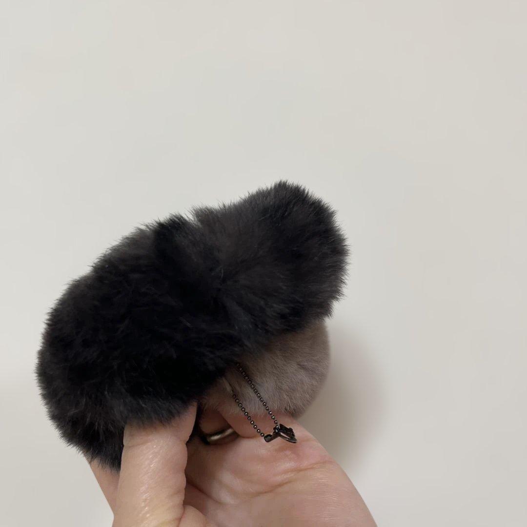 コンプレックスビスダブルファーシュシュ