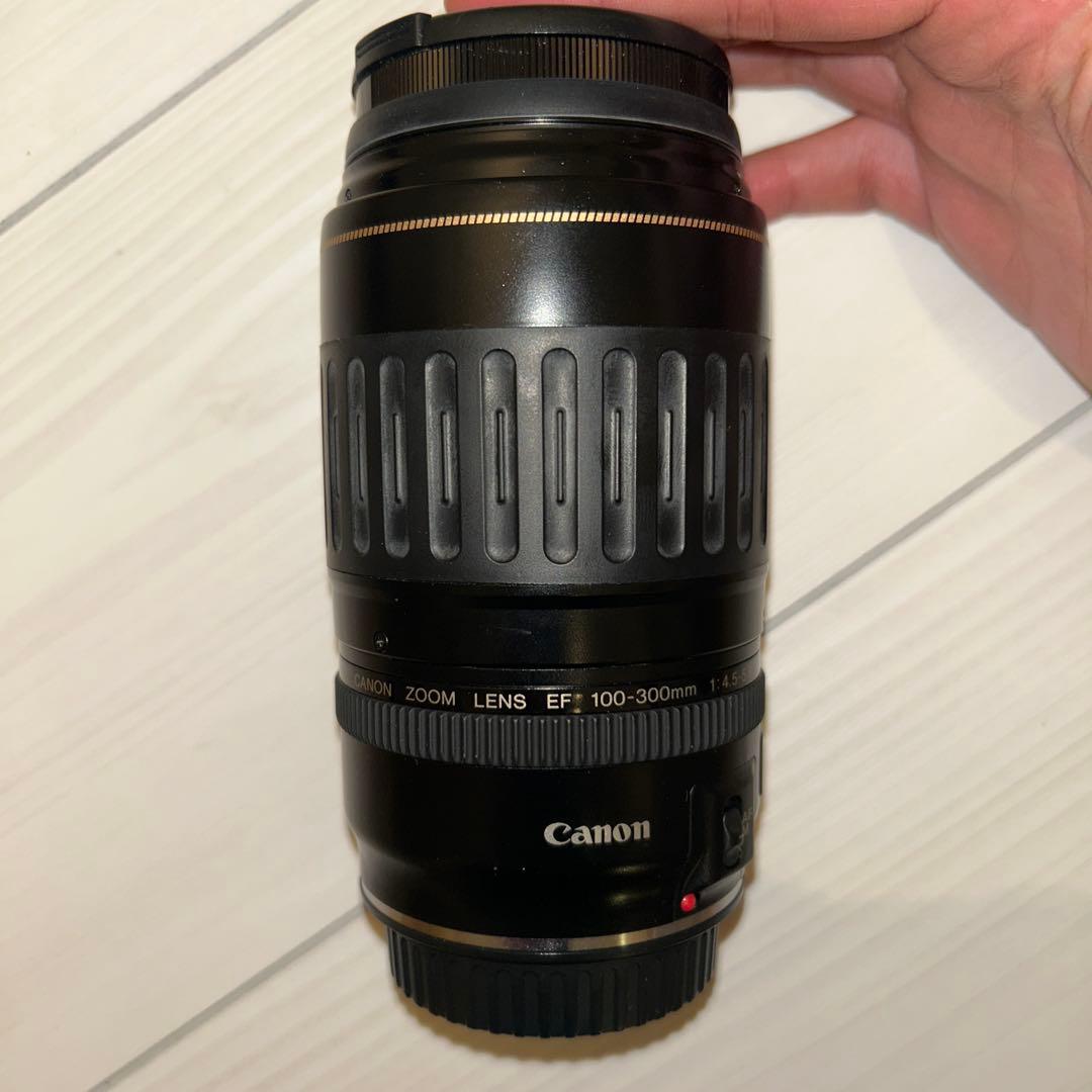 Canon EOS 5QD+EF 28-105mm+EF 100-300mm付き