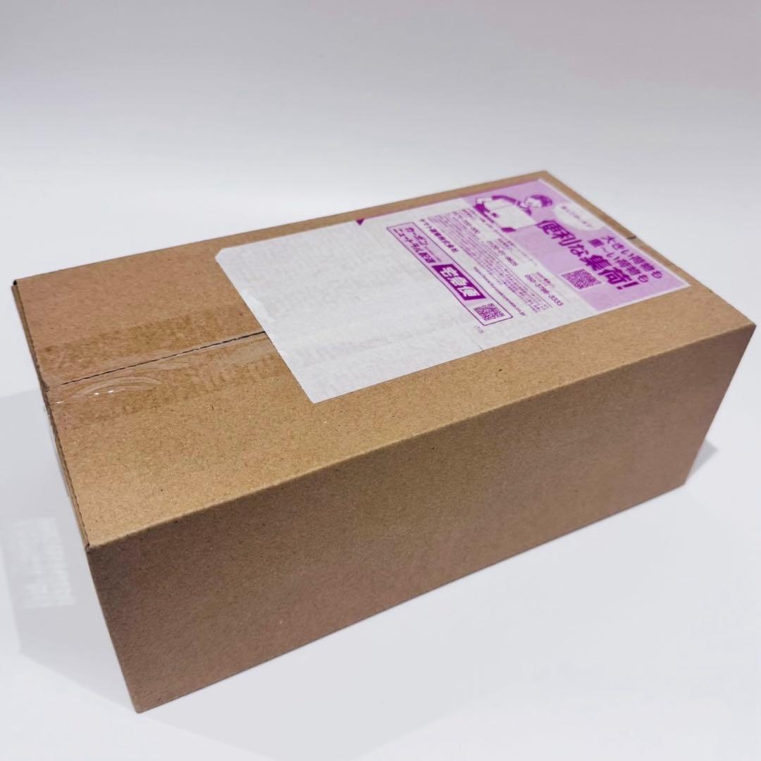 新品未開封 ポケモンセンター ヒロシマ スペシャルBOX シュリンク付 正規品