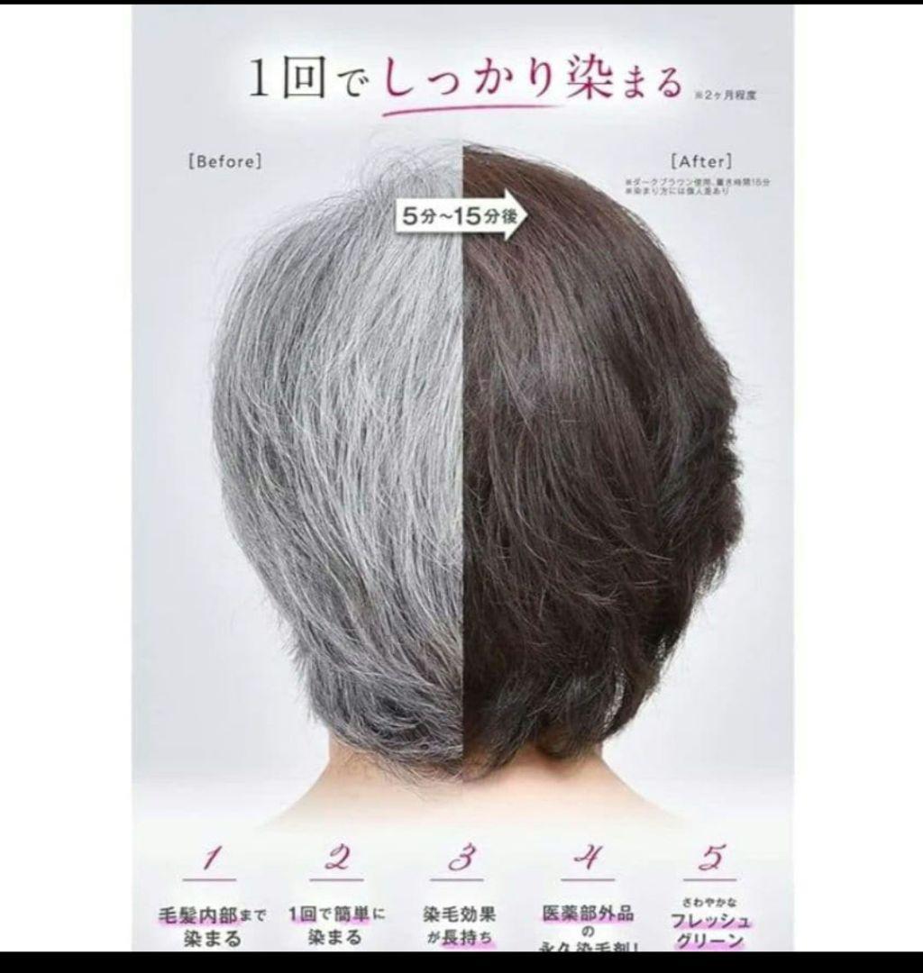 ÉCLAT ヘアカラー ライトブラウン 80g×2本 ＊新品、未使用品＊送料無料