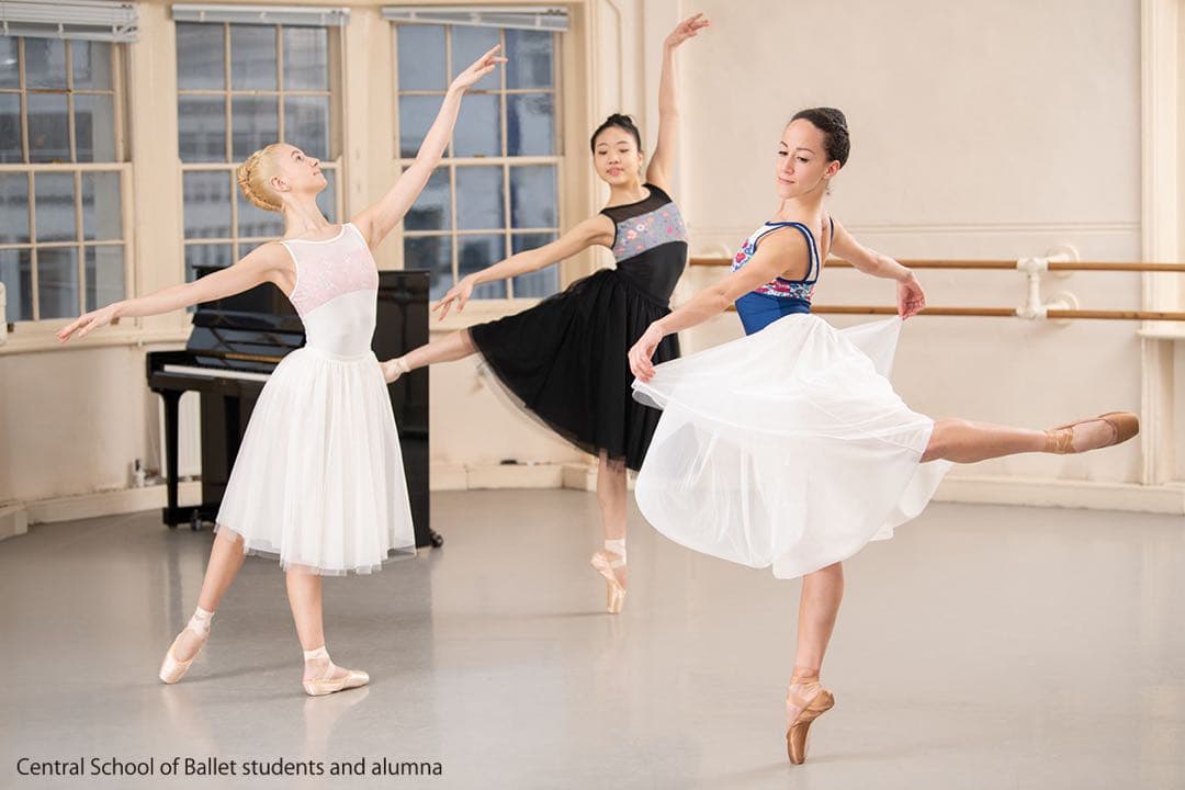 チャコット Freed レオタード M