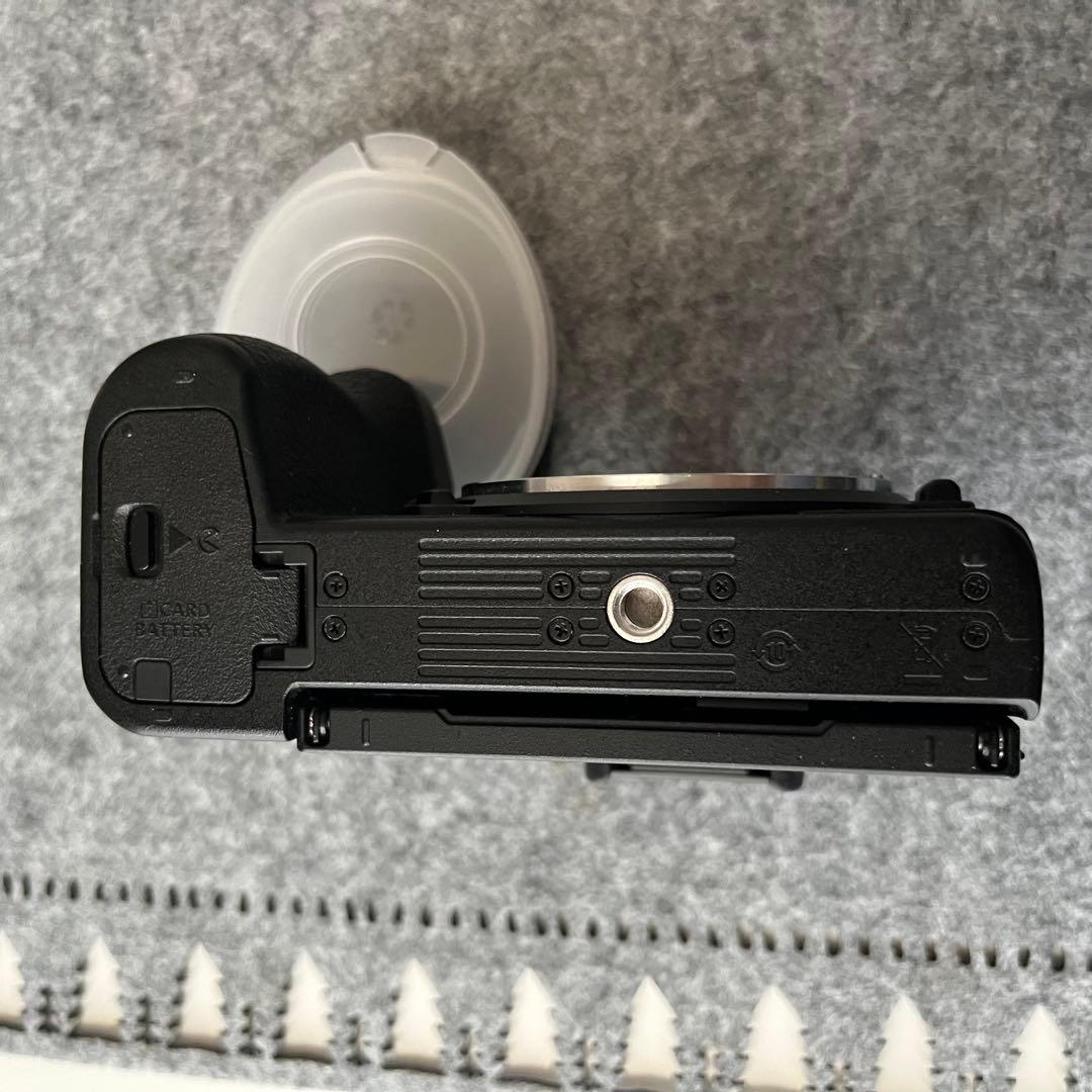 Nikon Z50 ショット数8,806回 ミラーレス一眼 カメラバック付属