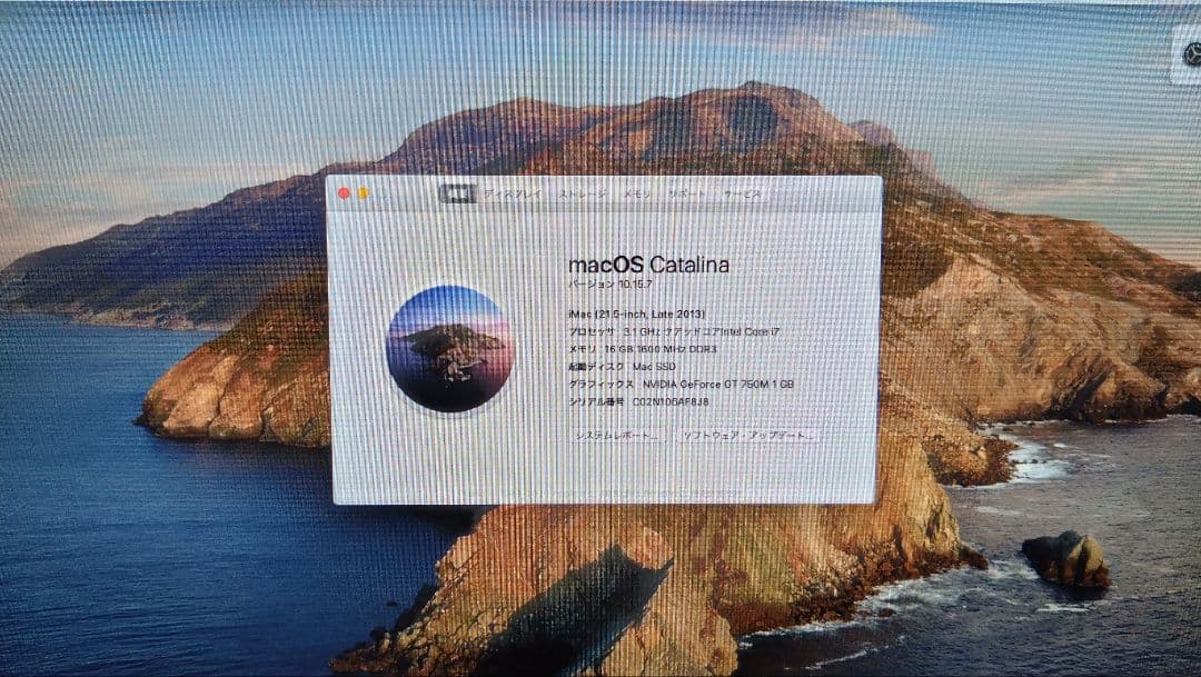 Macデスクトップ iMac 21.5' late 2013 Core i7 16GB 1.25TB