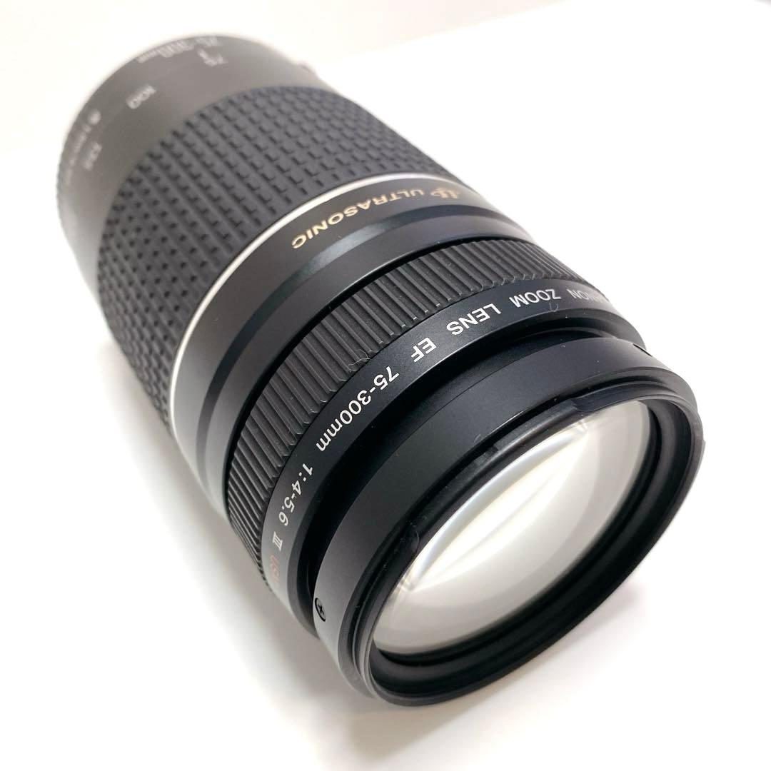 Canon AFレンズ EF 75-300mm F4-5.6 III USM