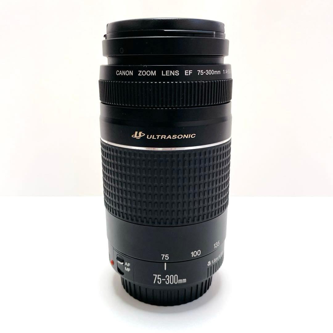 Canon AFレンズ EF 75-300mm F4-5.6 III USM