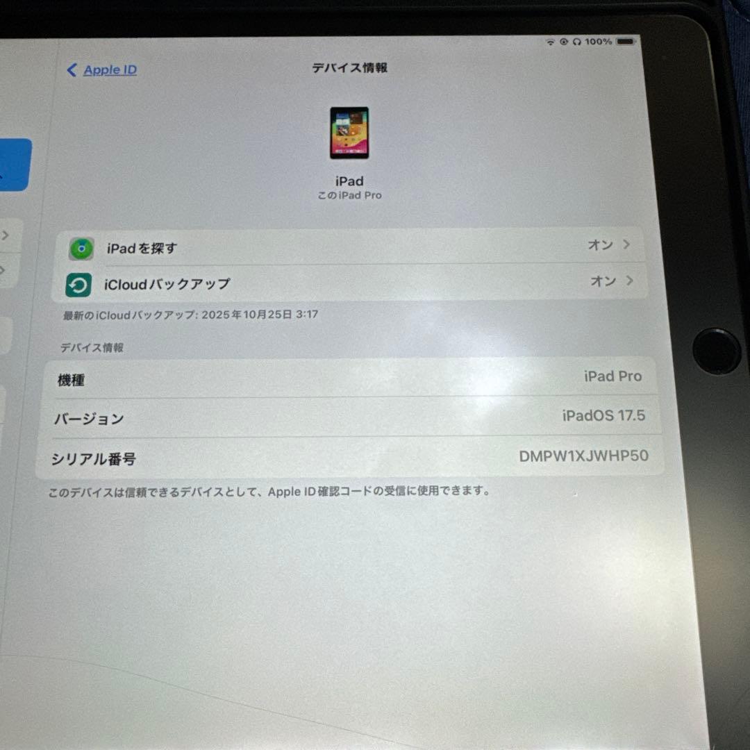 iPad Pro スペースグレー 本体