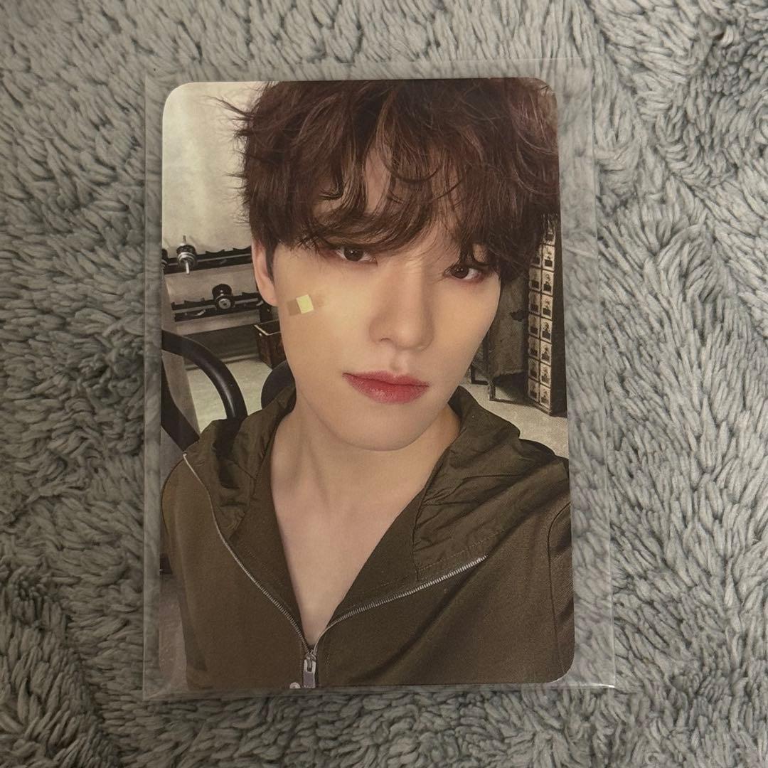 ディノ FML サノク トレカ