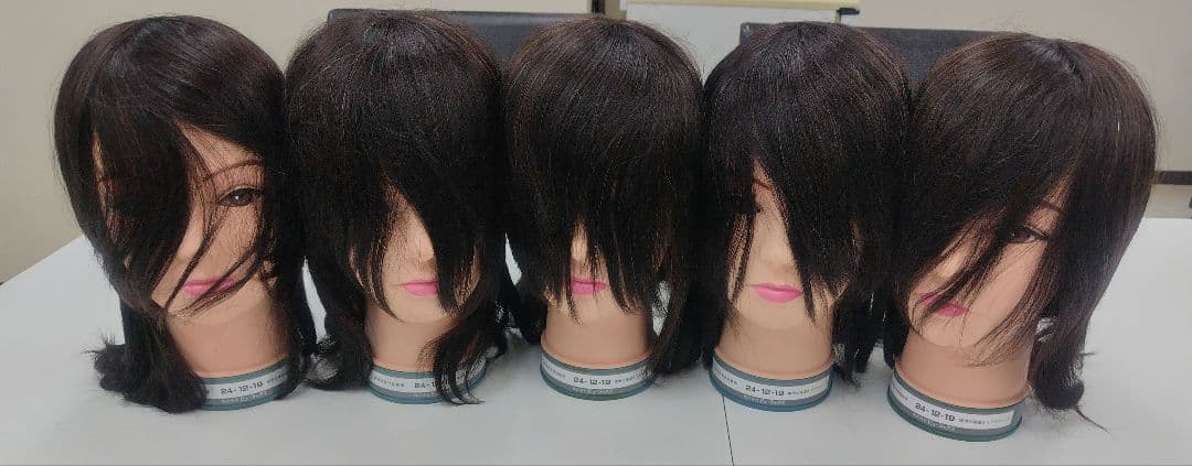 新品 ビューラックス 国家試験本番用 カットウィッグ 24-12-19 5個