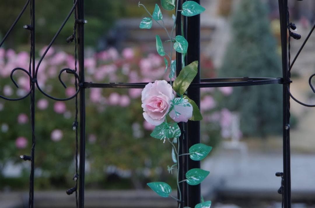 【作例付き】PENTAX-DA 18-135mm ED AL DC WR