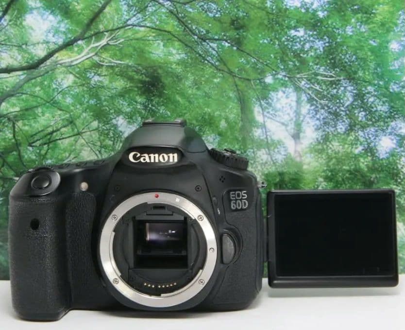 ❤動画も自撮り出来るCanon EOS 60D☆スマホ転送OK♪付属品多数❤
