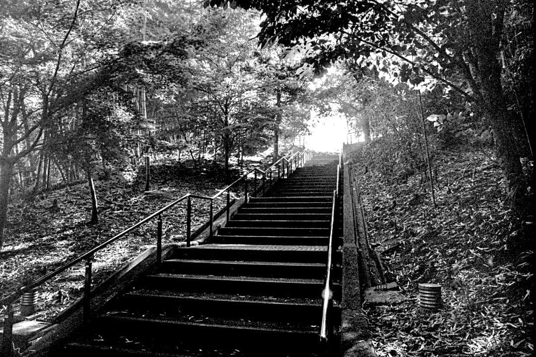 フィルムカメラ Canon AE-1 Program + New FD mm/F