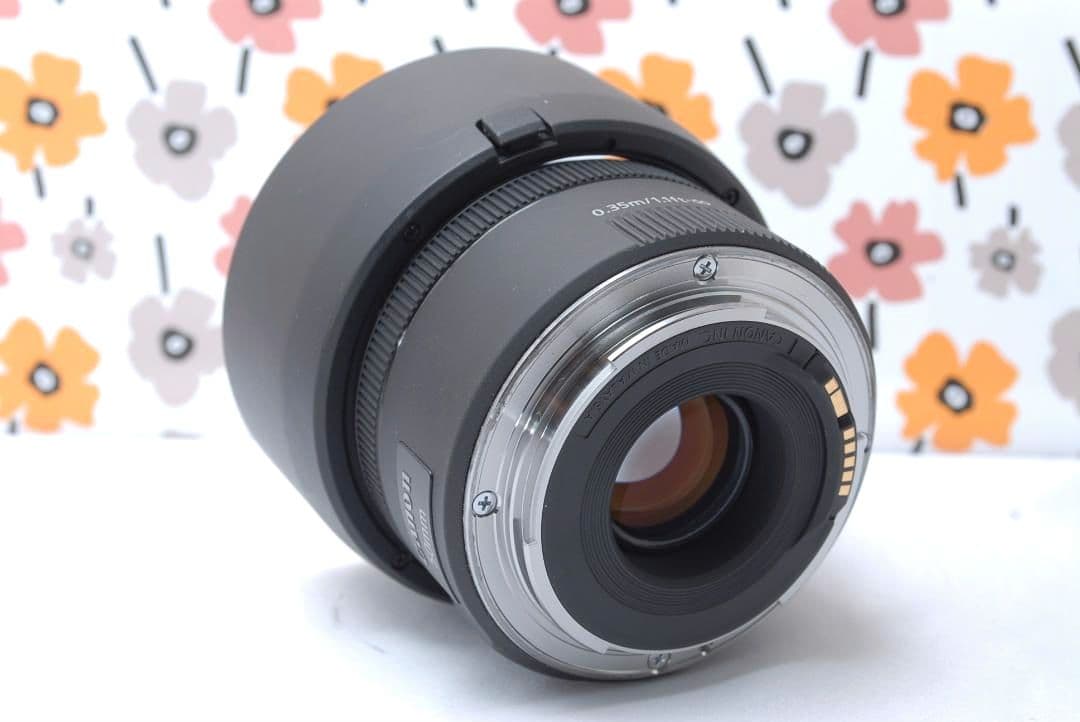 ❤Canon EF 50mm F1.8 STM 単焦点❤とろけるボケ感❤美品❤