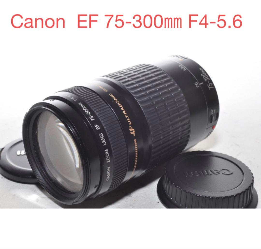 望遠レンズ/イベント/スポーツ/キヤノン/Canon EF75-300㎜